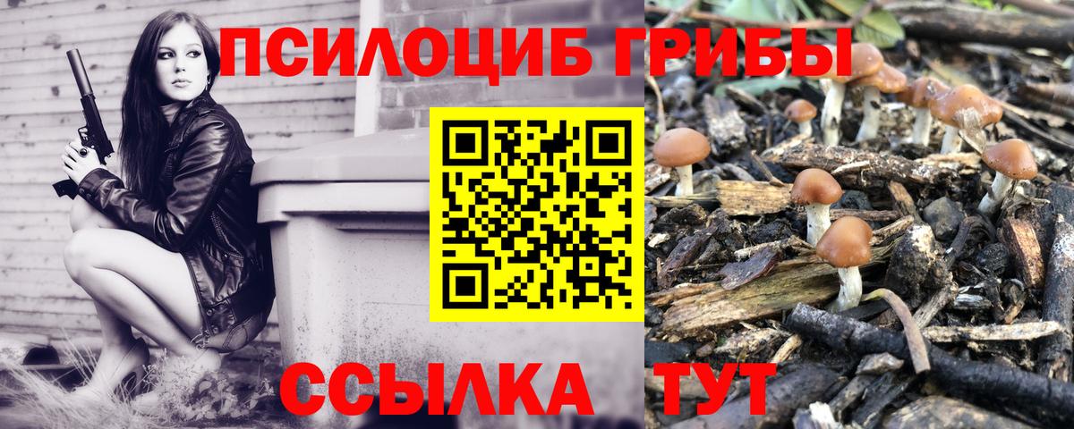 Саров  Псилоцибиновые грибы Cubensis  Псилоцибиновые грибы прущие грибы  Вход с VPN 