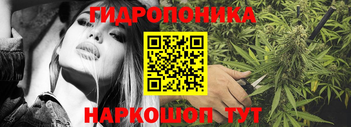 Шишки марихуана LSD WEED Саров
